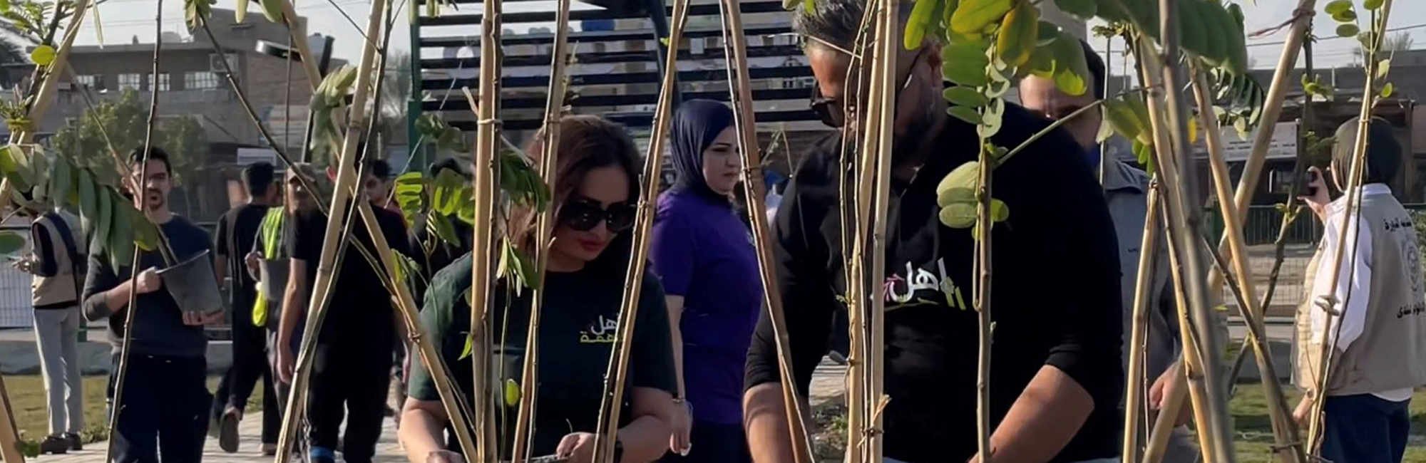ههڵمهتی نهمام چاندن